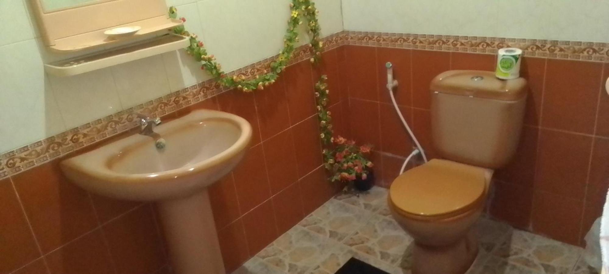 Flower Inn Сігірія Номер фото